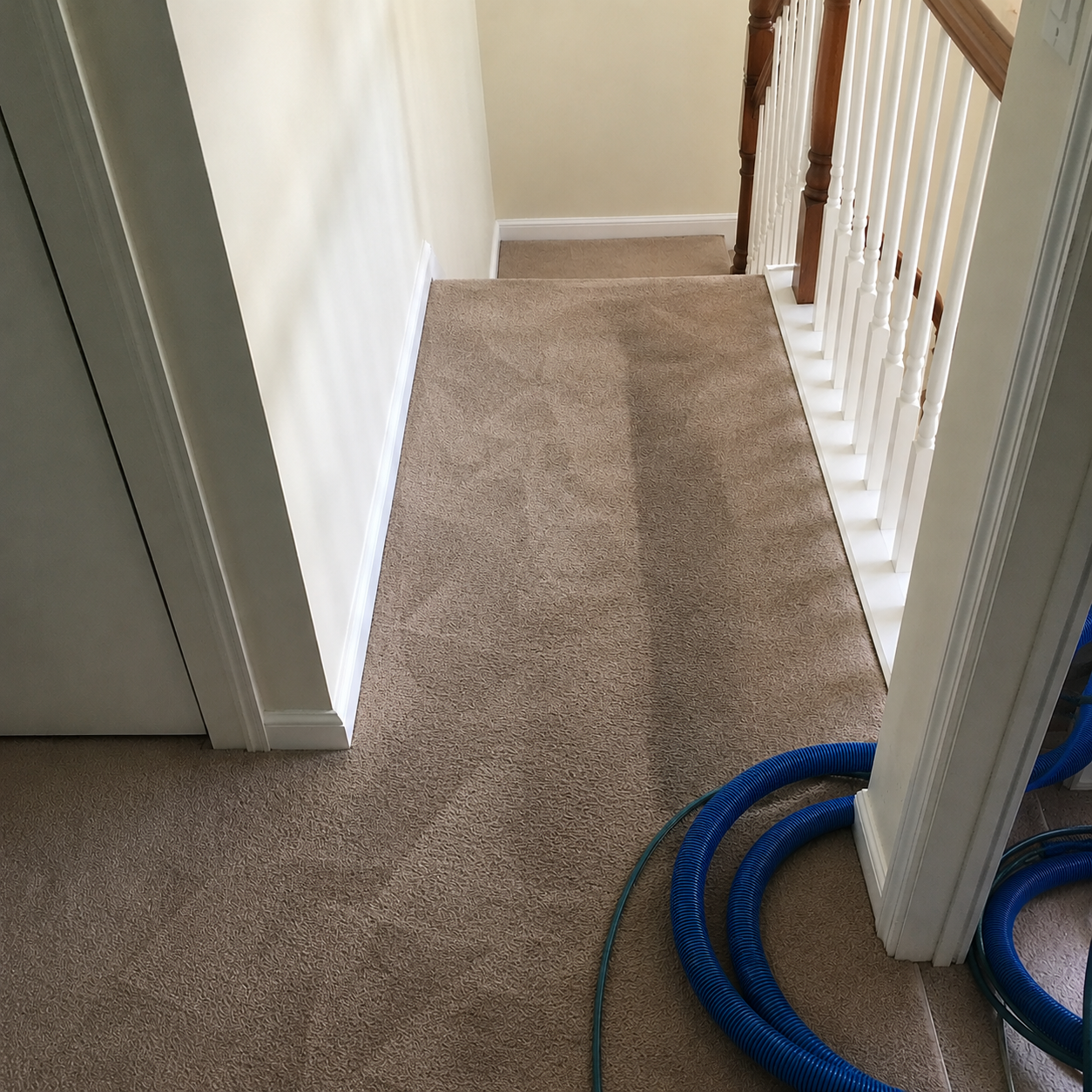 During a Hallway Clean — During