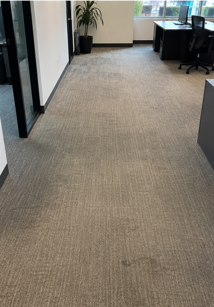 Commercial — Office Refresh — Before