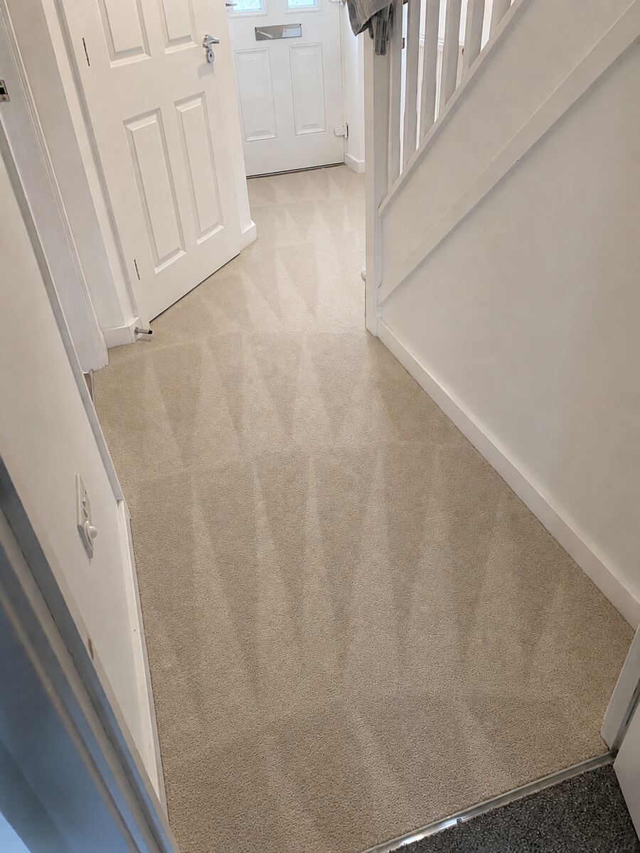Hallway Carpet — Deep Clean — after