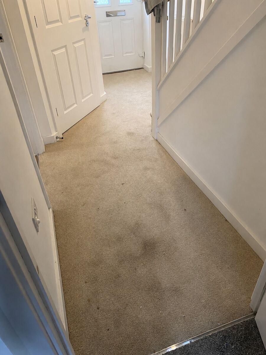 Hallway Carpet — Deep Clean — before