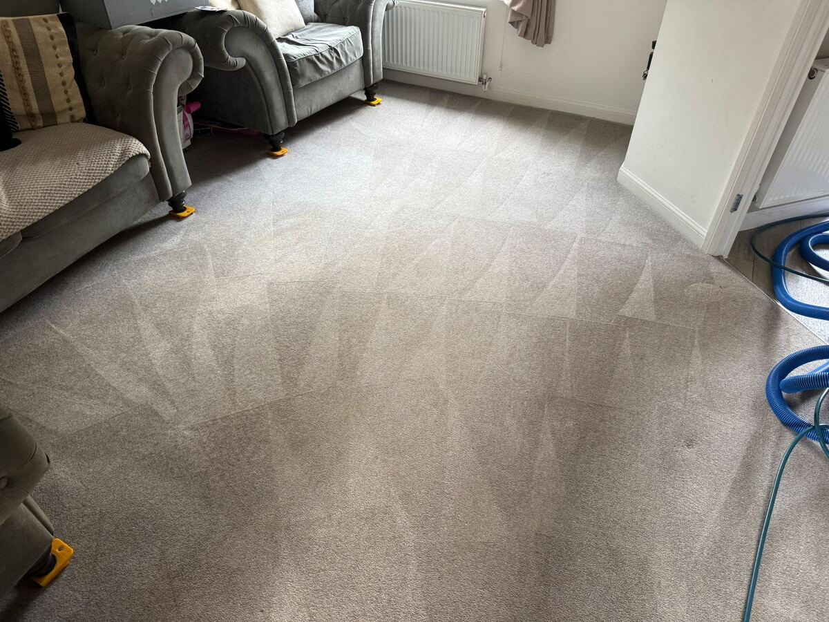 Living Room Carpet — Full Restoration — after