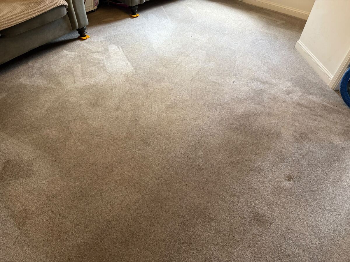 Living Room Carpet — Full Restoration — before